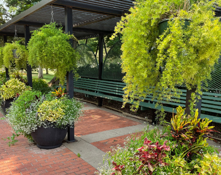 Cann Memorial Gardens, United States
